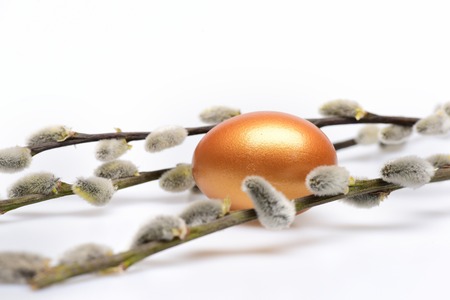 set of traditional egg painted in golden color with spring blossoming willow twigs isolated on white background. Happy Easter concept, luxury and successの写真素材