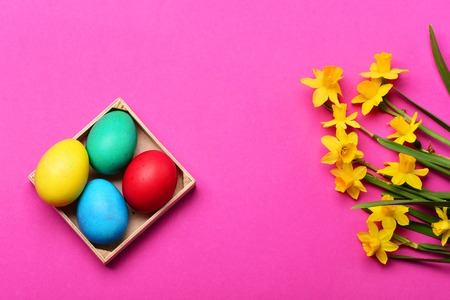 wooden box with colorful painted easter eggs near spring yellow narcissus flower on pink background,...
