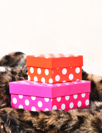 Colorful orange and pink polka dotted gift boxes on spotted fluffy fur coat backgroundの写真素材