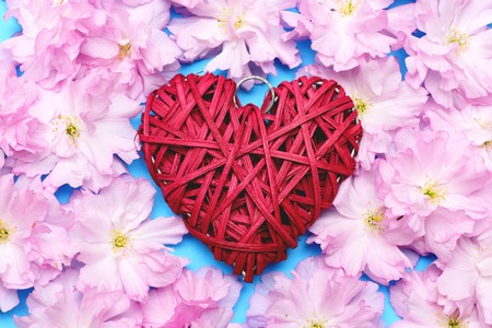 Heart and sakura. Handmade heart shaped decoration in red colour lying between pink Japanese cherry flowers around on bright blue background, top view. Valentines day and romance conceptの写真素材