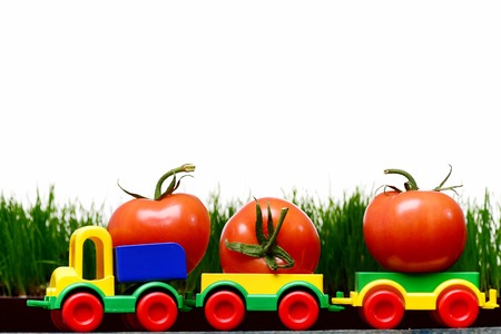 harvest concept, red tomatoes in plastic lorry car toy on grass isolated on white background, copy spaceの写真素材
