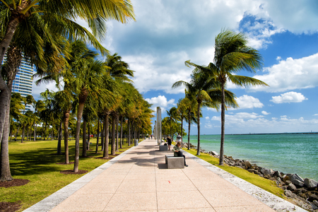 Miami, USA-February 2, 2016: idyllic street with green palms. South Pointe Park in the South Beach area of Miami Beachのeditorial素材