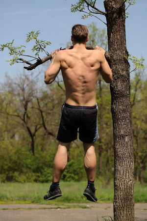 Pull ups on tree branch done by strong athletic man with vivid back muscles on park background....