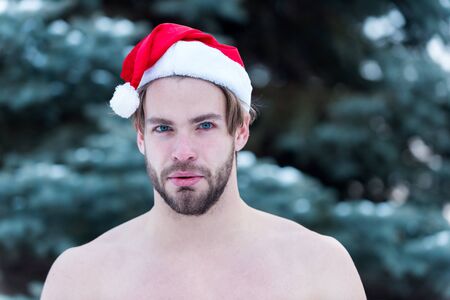 handsome bearded man or sexy christmas guy with muscular body and chest in red santa claus hat in winter outdoor at green fir tree with snow on natural background, copy spaceの写真素材