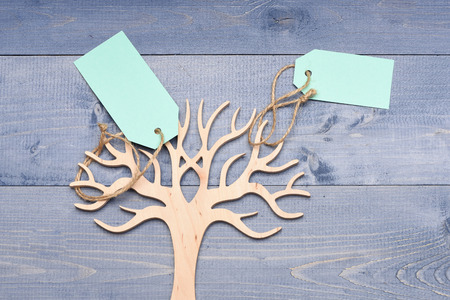 Beauty and shopping concept. Organizer for jewellery made of wood on dark blue vintage background. Decorative tree to store jewellery. Earring holder with blue price tags, close up.の写真素材
