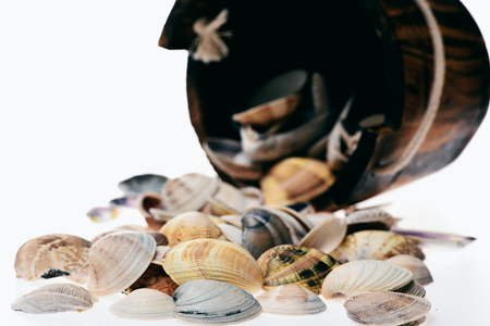 bucket with sea mollusk shells in selective focus isolated on white backgroundの写真素材