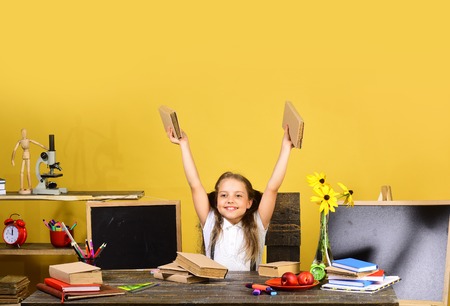 Girl sits at her desk with books, flowers, fruit and colorful stationery. Schoolgirl with happy face...