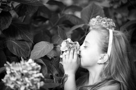 small baby girl or cute child with adorable smiling face and blonde hair among pink spring hydrangea flower blossom with green leaves outdoor on natural backgroundの写真素材