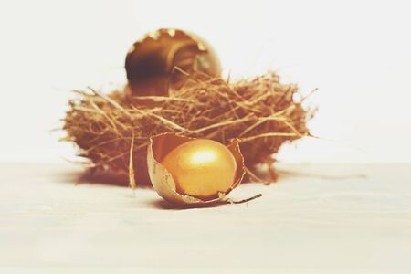 funny easter egg birth, future life, golden broken eggs with shell, eggshell, easter food painted in gold metallic color in bird nest isolated on white background, luxury and success,の写真素材