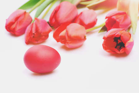 easter eggs Bunch of flowers near pink Easter egg. Easter symbols concept. Tulips in pink or red colors isolated on white background, close up. Bouquet of spring tulips for holiday, defocused.の写真素材