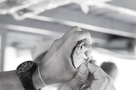 Fish on hook in male hands in Santarem, Brazil on blurred blue background. Catching and fishing concept. Summer vacation and active lifestyle.の写真素材
