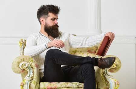 Intelligent concept. Lecturer smart sit on armchair and reads book, white wall background. Man with beard and mustache spends leisure with book. Scientist, professor on pensive face enjoys literatureの写真素材