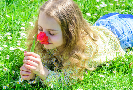 Child enjoy fragrance of tulip while lying at meadow. Allergy concept. Girl on happy face holds red tulip flower on sunny spring day. Girl with long hair lying on grassplot, grass backgroundの写真素材