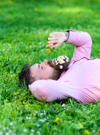 Man with beard on calm face sniffs dandelion. Peace and tranquility concept. Bearded man with daisy flowers in beard lay on grassplot, grass background. Guy with bouquet of daisies in beard relaxingの写真素材