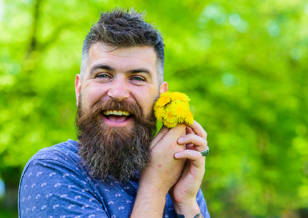 Man with beard and mustache on happy face holds bouquet of dandelions. Romantic hipster made bouquet, green nature background, defocused. Romantic concept. Bearded man holds yellow dandelionsの写真素材