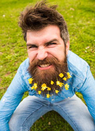 Guy with lesser celandine flowers in beard taking selfie photo. Hipster with angry grimace on face...