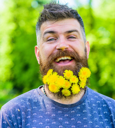 Barber concept. Man with beard and mustache on happy face, green background, defocused. Hipster with bouquet of dandelions in beard. Bearded man with dandelion flowers in beard, close upの写真素材