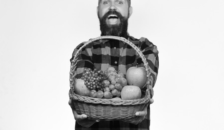 Farmer with excited face presents apples, grapes and cranberries.の写真素材
