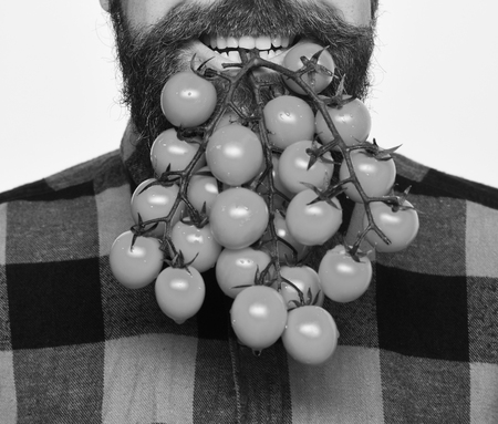 Farming and autumn concept. Farmer holds cherry tomatoes as beard.の写真素材