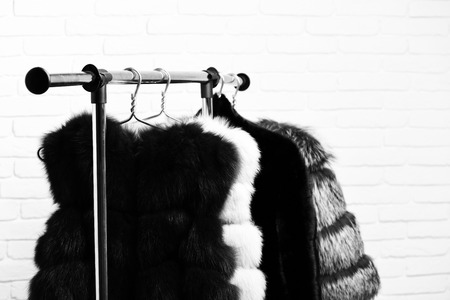 fashionable fur on hangersの写真素材
