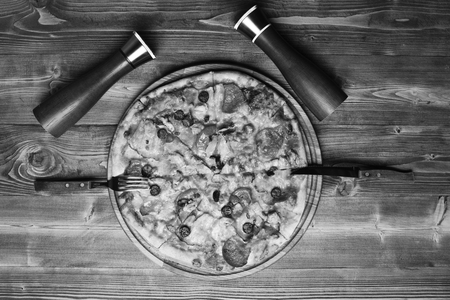Traditional cuisine concept. Italian dish with fork and knife, salt and pepper containers.の写真素材