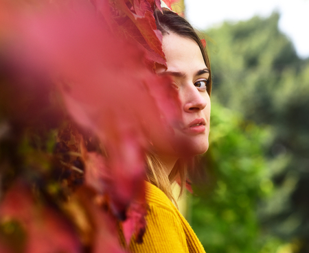 Woman with hidden face on autumn ivy leaves backgroundの写真素材