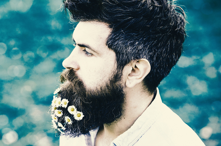 Guy with daisy flowers in beard, side view. Hipster on calm face, green grass background. Man with beard and mustache enjoy spring, green meadow background. Spring freshness conceptの写真素材
