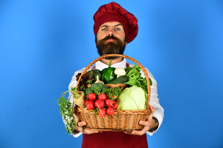 Chef holds cabbage, radish, broccoli with lettuce, pepper and garlicの写真素材