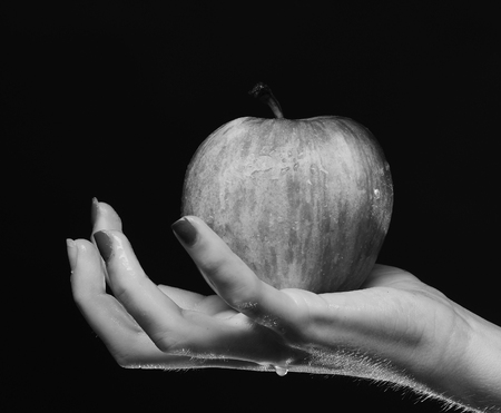 Apple in red and orange color on girls palm. Female hand holds fresh fruit isolated on black backgroundの写真素材