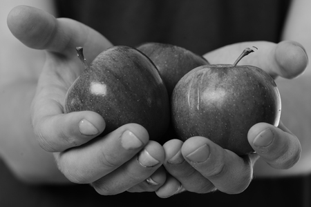 Food and dieting concept. Male hands hold red apples, selective focus. Apples trio on blue Tshirt background, close up. Apple fruits in bright and juicy color.の写真素材