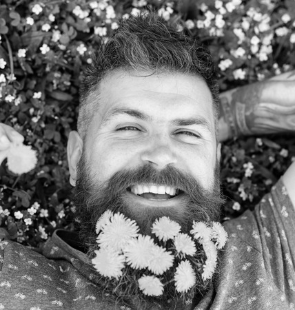 Relaxation concept. Bearded man with dandelion flowers in beard lay on meadow, grass background. Man...