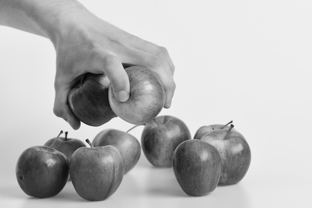 Group of apples placed on light grey background. Apples in fresh and juicy color. Vitamins and fitness concept. Male hand holds light red apples above other fruits.の写真素材