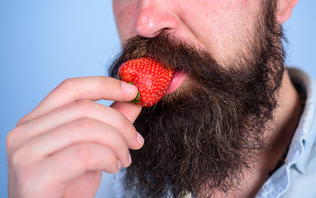 Male face beard try strawberry. Berry male mouth surrounded beard mustache. Gastronomic pleasure. Desire concept. Oral pleasure. Enjoy juicy ripe red strawberry. Man eat sweet strawberry, close up.の写真素材