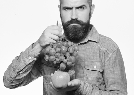 Man with beard holds bunch of green grapes and apple isolated on white background. Farming and autumn fruits concept. Farmer shows his harvest.の写真素材