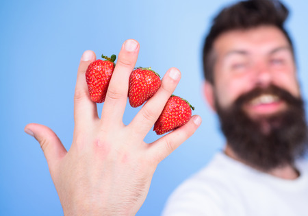 Despite sweet taste berries contain zero sugar. Man beard hipster strawberries between fingers blue background. Strawberry packed with vitamin C fiber antioxidants. Nutritional benefits of strawberry.の写真素材