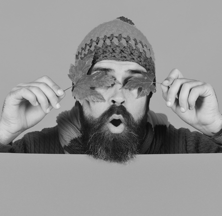 Man in hat holds green maple tree leaves on orange background, copy space. Hipster with beard and surprised face closes eyes with leaf. October and November time idea. Autumn and cold weather concept.の写真素材