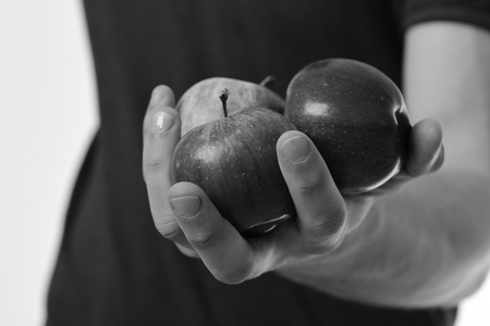 Apples in fresh and juicy color, close up. Vitamins and fitness concept. Male hands hold red apples. Apple fruits trio on blue Tshirt background, selective focusの写真素材