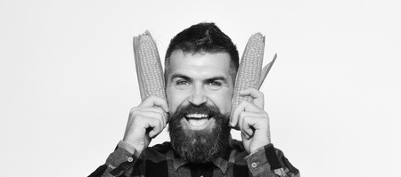Farmer with happy face with yellow corn near ears. Farming and autumn crops concept. Guy shows his...