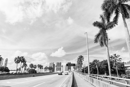 Highway or roadway with cars and skyline of miami, usa. Road with traffic signs for transport vehicles and palm trees on cloudy blue sky. Public infrastructure concept. Travelling by car.の写真素材