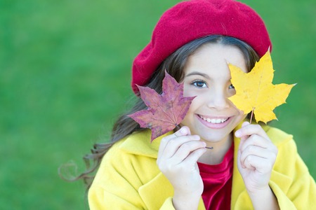 Child with autumn maple leaves walk. Autumn coziness is just around. Little girl excited about autumn season. Tips for turning autumn into best season. Kid girl smiling face hold maple leaves.の写真素材