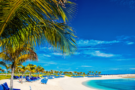 Coast with lounge chairs on white sand, green palm treesの写真素材