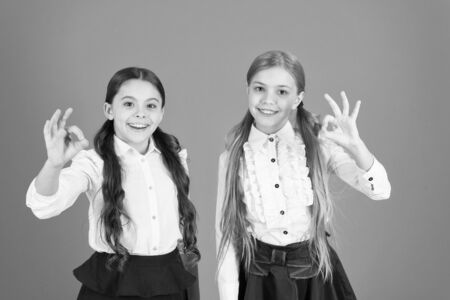 Stylish girls in pigtails dressed for school.の写真素材