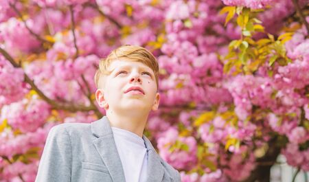 Boy fashionable teen posing near sakura. Child pink flowers of sakura tree background. Guy enjoying cherry blossom sakura. Sakura garden concept. Confident stylish child enjoy warm spring dayの写真素材