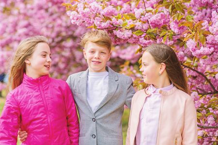 Children enjoy warm spring. Lost in blossom. Girls and boy friends posing near sakura. Kids on pink...