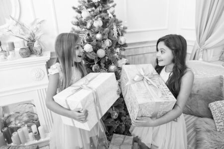 Kids little sisters hold gifts boxes interior background. Children friends excited unpacking their gifts. What a great surprise. Small cute girls received holiday gifts. Best toys and christmas giftsの写真素材