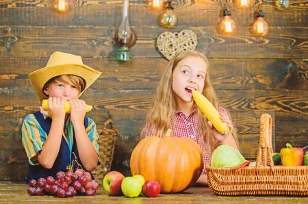 Celebrate harvest festival. Children play corncobs vegetables wooden background. Kids girl boy celebrate harvest festival rustic style. School festival holiday. Elementary school fall festival ideaの写真素材