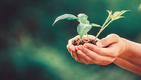 Earth day. ecology environment concept. happy earth day. Eco living. farming and agriculture. Gardening. new life birth. plant in ground in hands. care plants. Eco farm. It is my favorite flowerの写真素材