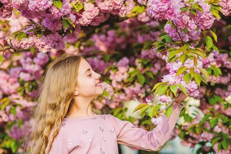 Young and carefree. summer. Childhood beauty. skincare. Natural cosmetics for skin. small girl child in spring flower bloom. blossom smell, allergy. happy girl in cherry flower. Sakura tree bloomingの写真素材