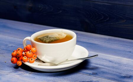 Health care folk remedies. Drink aromatic rowanberry beverage. Cup of tea on blue background close...