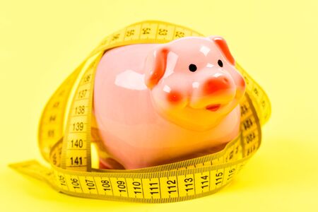 Measure costs. Credit loan debt. Piggy bank and measuring tape. Budget limit concept. Economics and finances. Pig trap. Budget crisis. Planning budget. Business problem. Limited or restrictedの写真素材